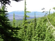 Summer '06 Sunriver 515 